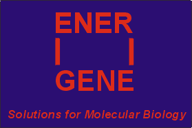 EnerGene