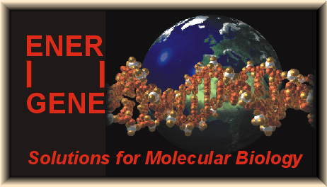 EnerGene