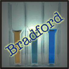 Bradford