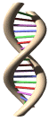 DNA